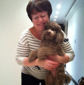 Meet your Posher, Sofia